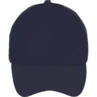 French Navy