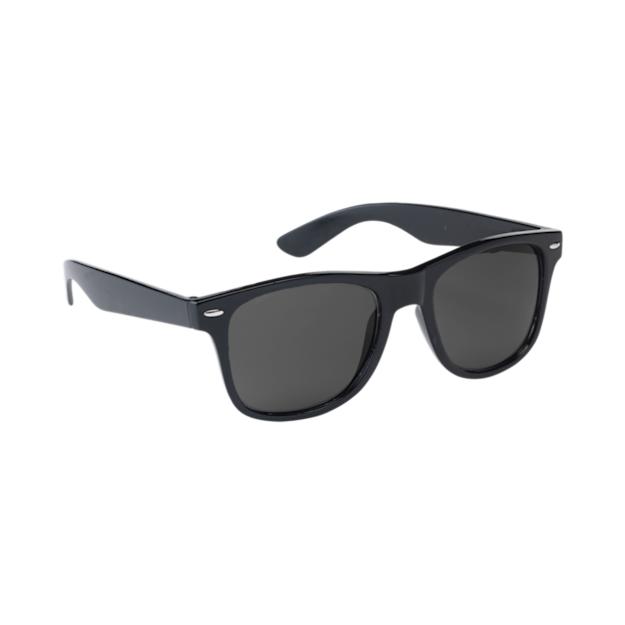 Malibu RPET sunglasses black
