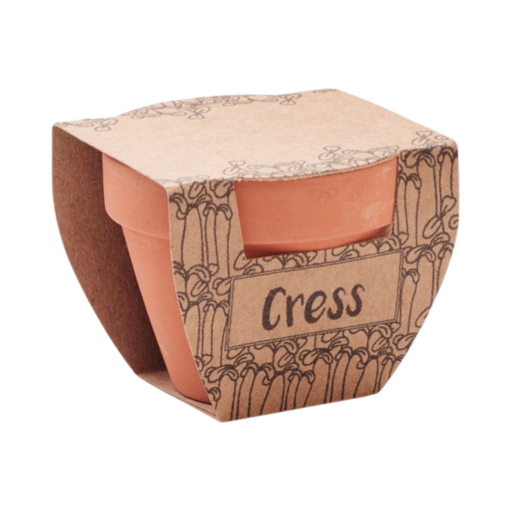 PDP - cresspotterracottapotcressseeds square #00000000 background