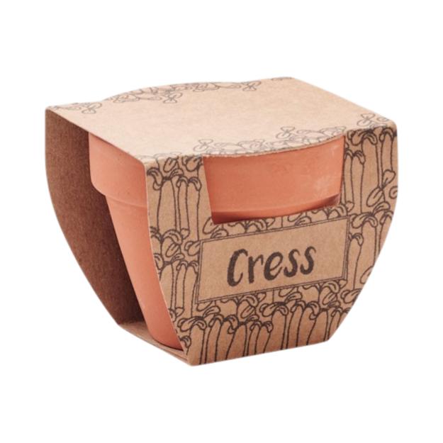 PDP - cresspotterracottapotcressseeds square #00000000 background