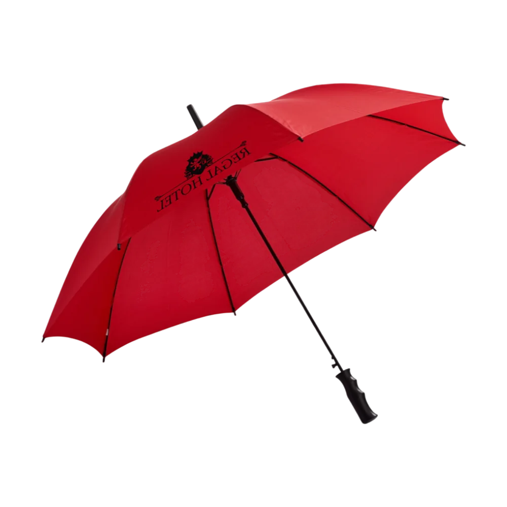 Auto open umbrella