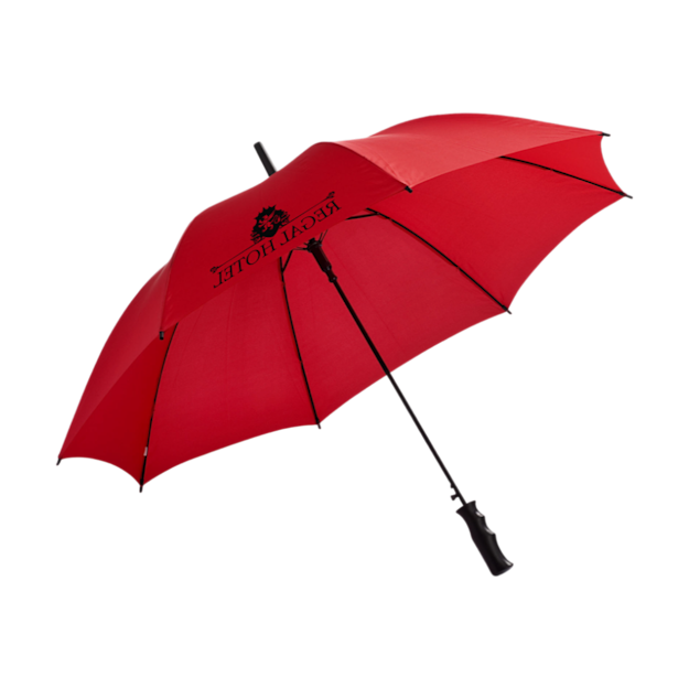 Auto open umbrella