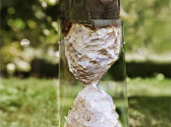 Creating-an-Illusion