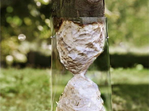 Creating-an-Illusion