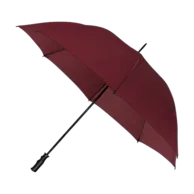 Borgogna