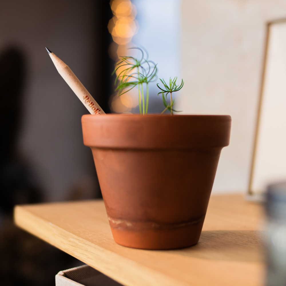 sproutworldsharpenedpencil PDP Copy