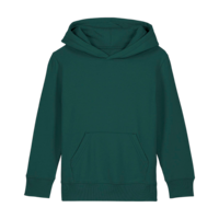 ICON - stanleystellatheiconickidshoodiesweatshirt glazed_green