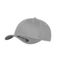 COLOR - flexfitwoolycombedcap - silver