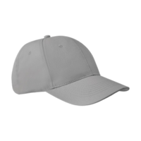 ICON - basie6panelsbaseballcap grey
