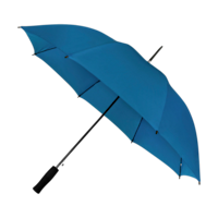 ICON - falconetticompactumbrella royal_blue