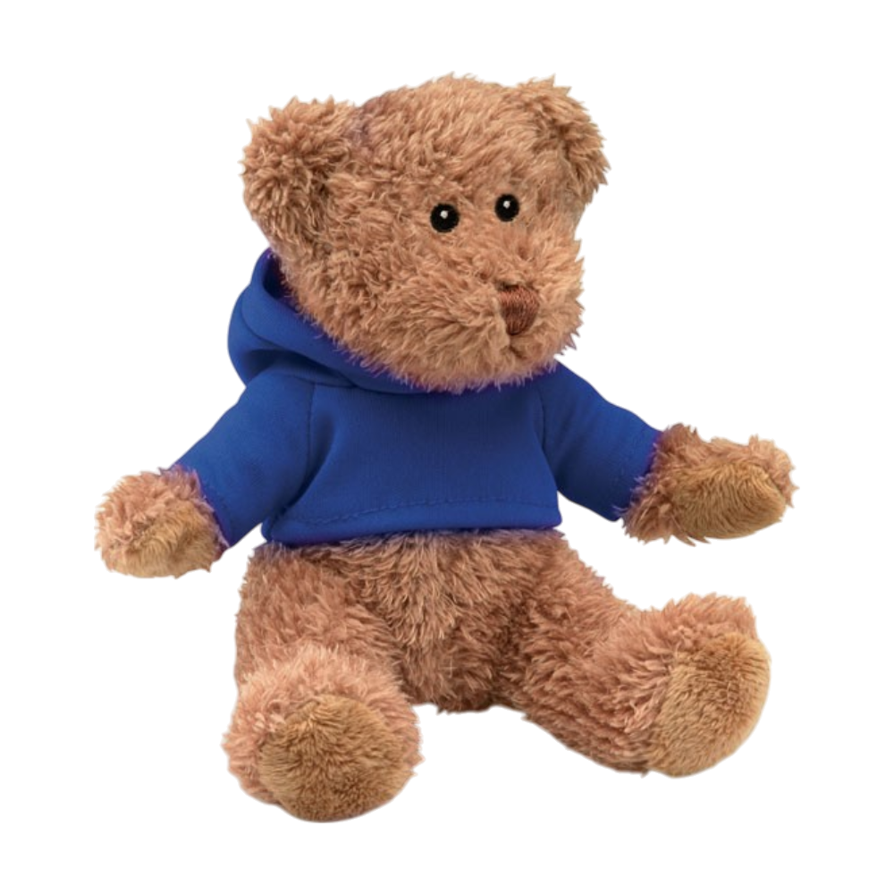 ICON - teddybeermetsweatshirt blue