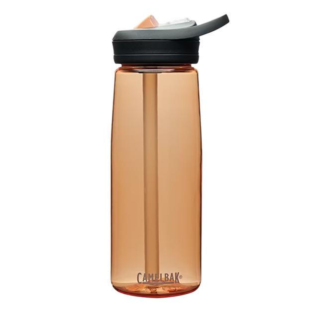 camelbakeddy25ozbottletristanrenew