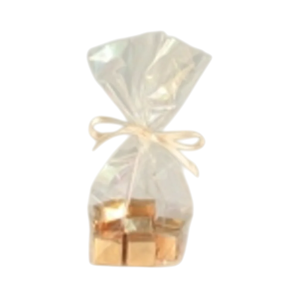 PDP - bagspp16cmx95cmx4cmtransparent square #00000000 background