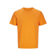 Vibrant Orange