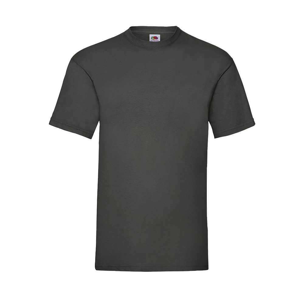 Budget Unisex Classic Fit Round Neck T-shirt ICON light graphite