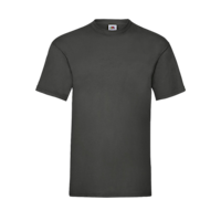 Budget Unisex Classic Fit Round Neck T-shirt ICON light graphite