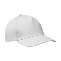 ICON - buzz5panelbaseballcap white