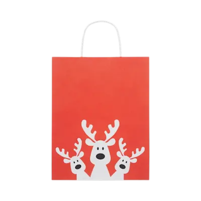BAO MEDIUM Recycled Paper Gift Bag
