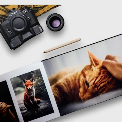 Album photo animal de compagnie