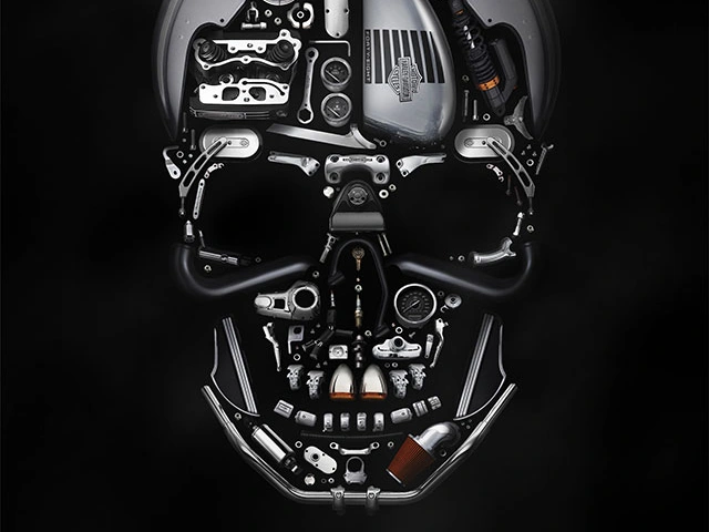 Harley3