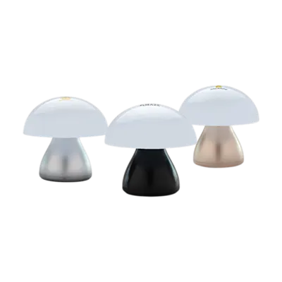Lampada da Tavolo Ricaricabile in Plastica RCS