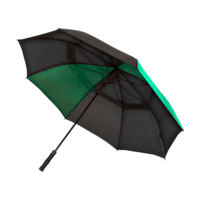 Vert