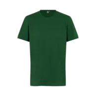 Verde bottiglia