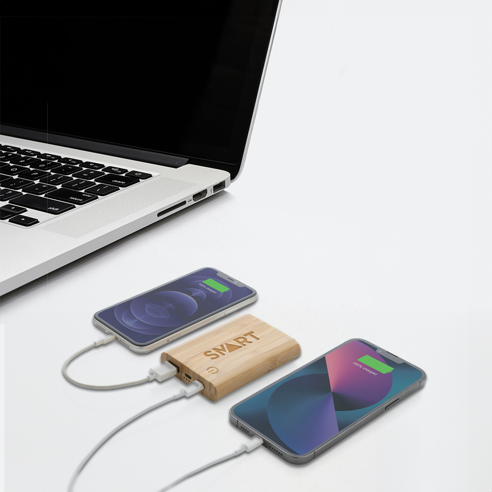 bamboo5000mahpowerbank setting1