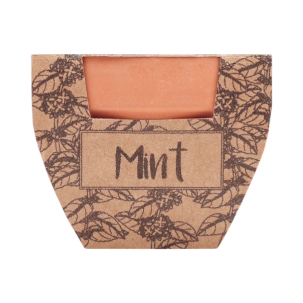 PDP - mintpotterracottapotmintseeds square #00000000 background