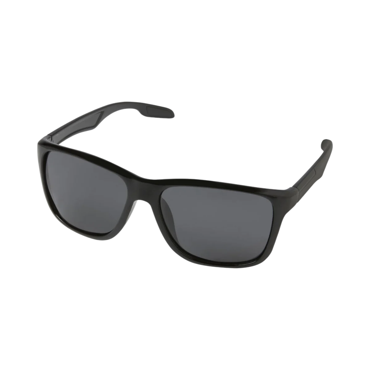 Eiger Polarized Sunglasses with Rilsan main image