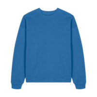 ICON - stanleystellatheoversizedcrewnecksweatshirt mindful_blue