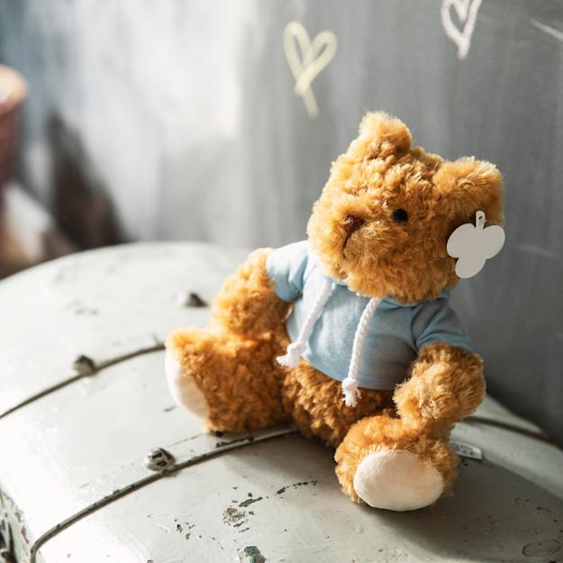 PDP - plushteddybearmonty square original background