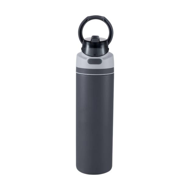 ICON - elvin28ozrecycledstainlessflipstrawbottle gray