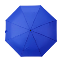 Bleu cobalt