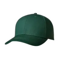 Verde bottiglia