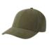 COLOR - cordys - olive