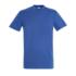ICON - royal blue (tshirtsbudgetsols)