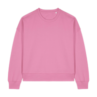 ICON - stanleystellathewomenscrewnecksweatshirt bubble_pink