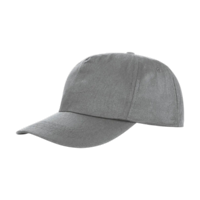 ICON - houston5panelprinterscap dove_grey