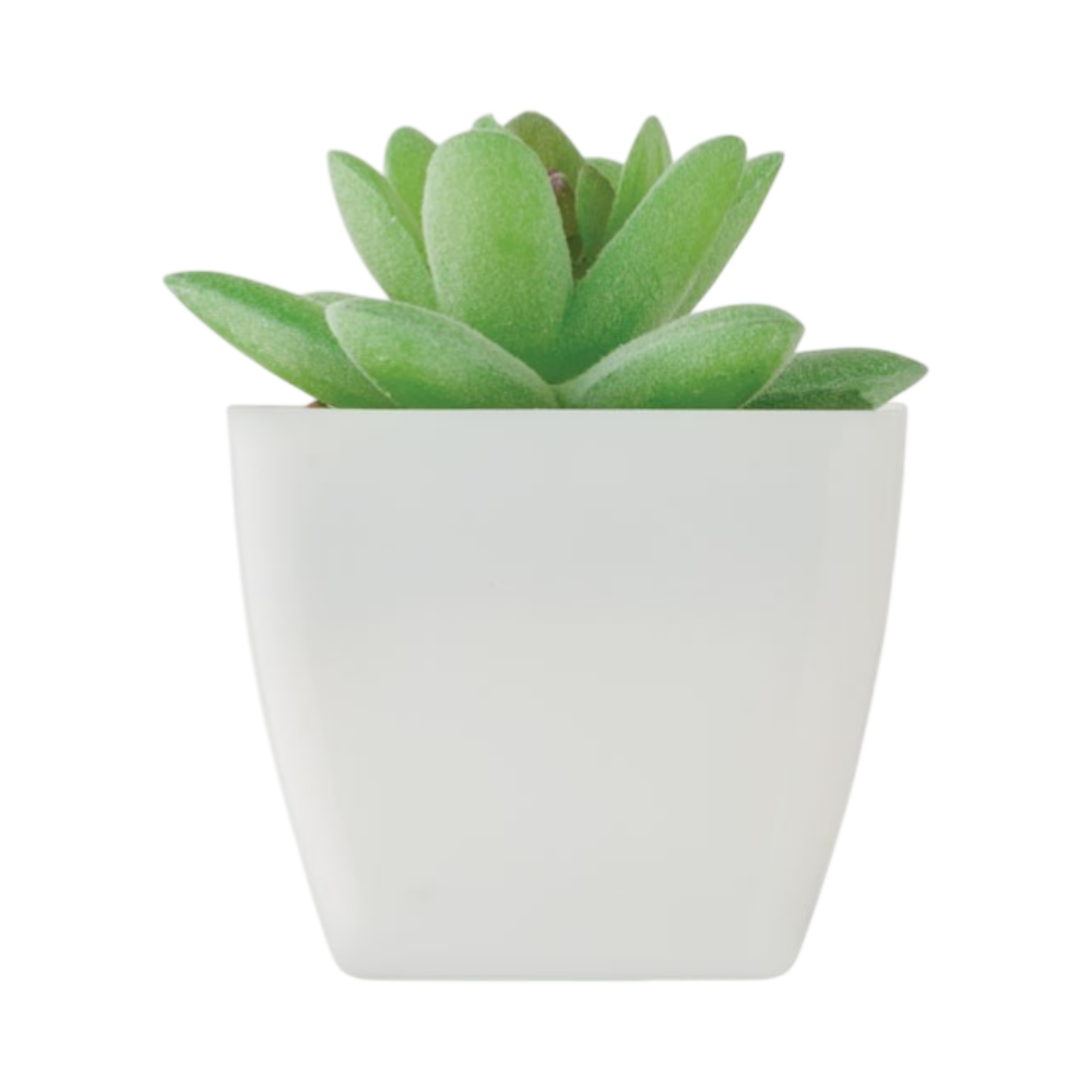 PDP - artigrapminiartificialplant square #00000000 background