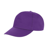 ICON - houston5panelprinterscap purple