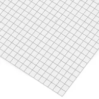 Grid Graph paper