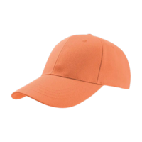 ICON - libertysandwichcap orange_orange