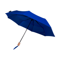 Bleu royal