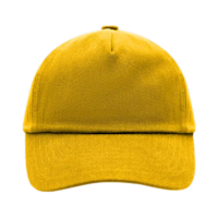 58. 5panelkidscap Golden yellow