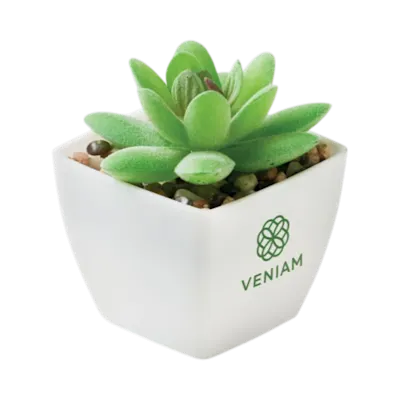 Mini Artificial Plant Artigrap