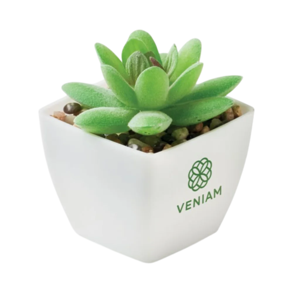 PDP - artigrapminiartificialplant square #00000000 background