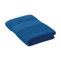 Bleu royal