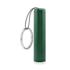COLOR - sanlightplasticlightuplogotorch - dark green