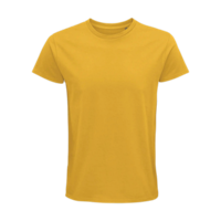 solspioneermen gold